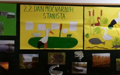 2.VELJAČE – MEĐUNARODNI DAN ZAŠTITE MOČVARA I MOČVARNIH STANIŠTA