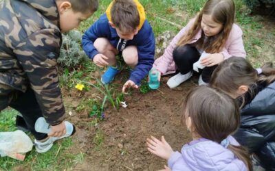 Mali ekolozi 2.b razred