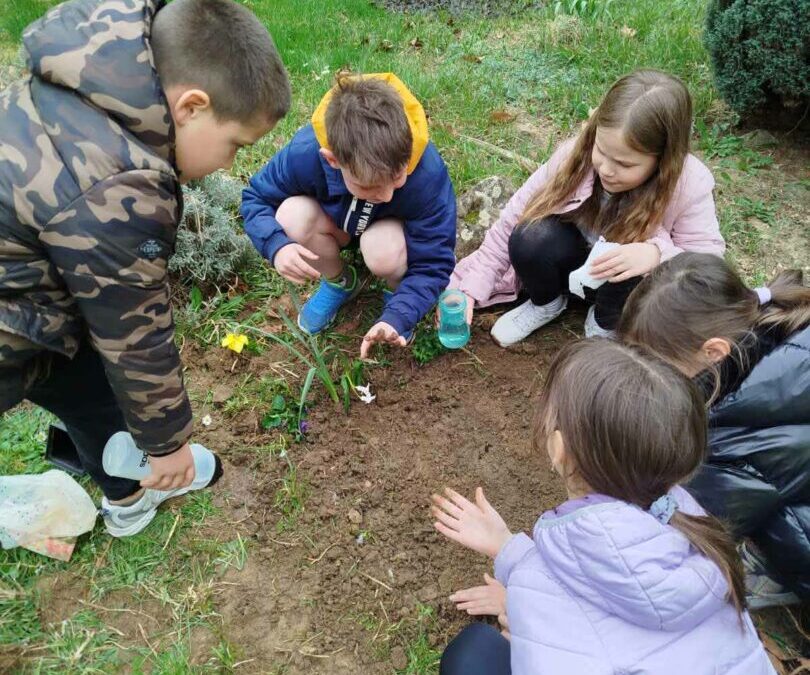 Mali ekolozi 2.b razred